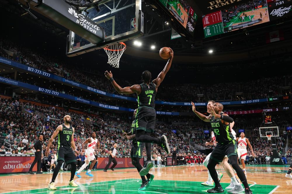 盲犬和智慧 盲犬和智慧