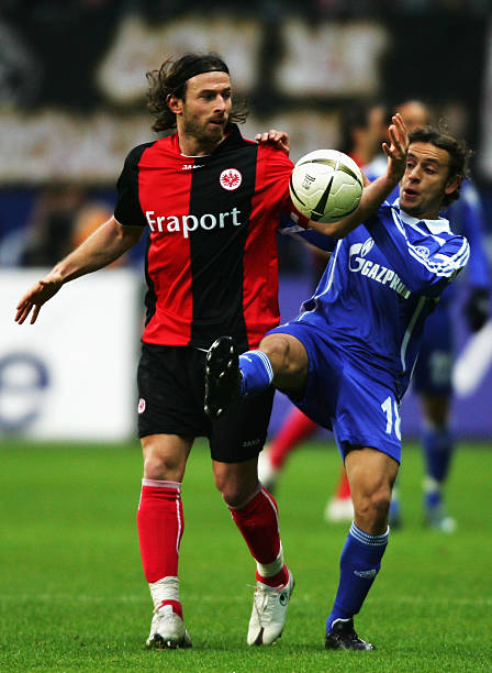 这个享誉全 这个享誉全